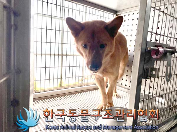 한국동물구조관리협회_411311202400594